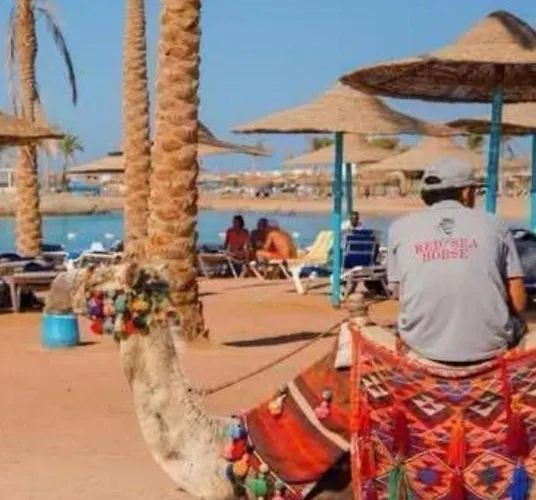Mirage Bay & Aqua Park View Aqua Hurghada