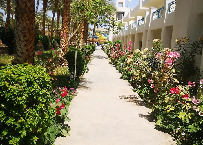 Mirage Bay & Aqua Park View Aqua 4*